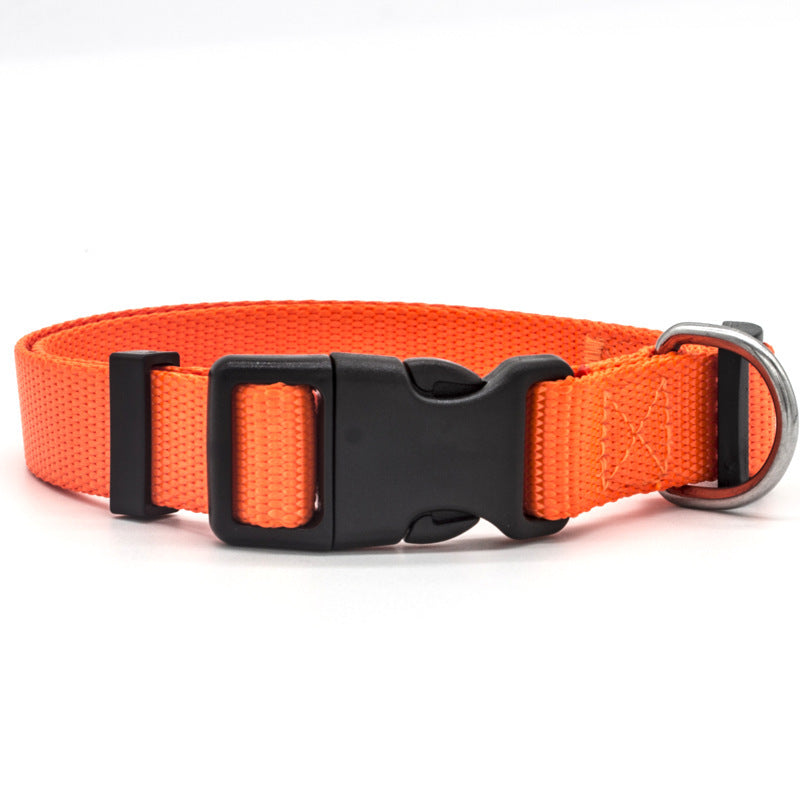 Stylish Durable Pet Collar – Comfort and Safety Combined!
