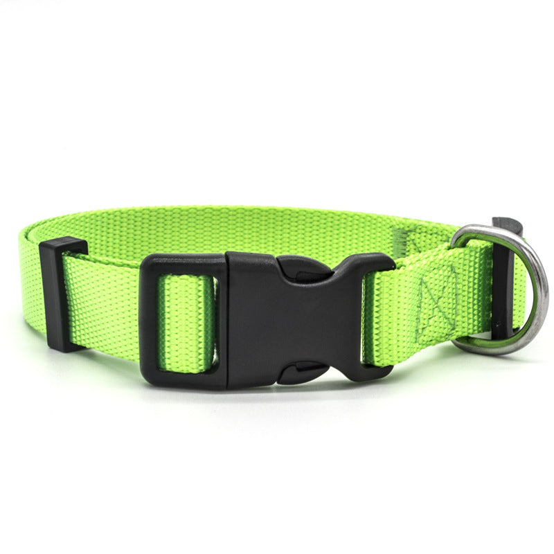 Stylish Durable Pet Collar – Comfort and Safety Combined!