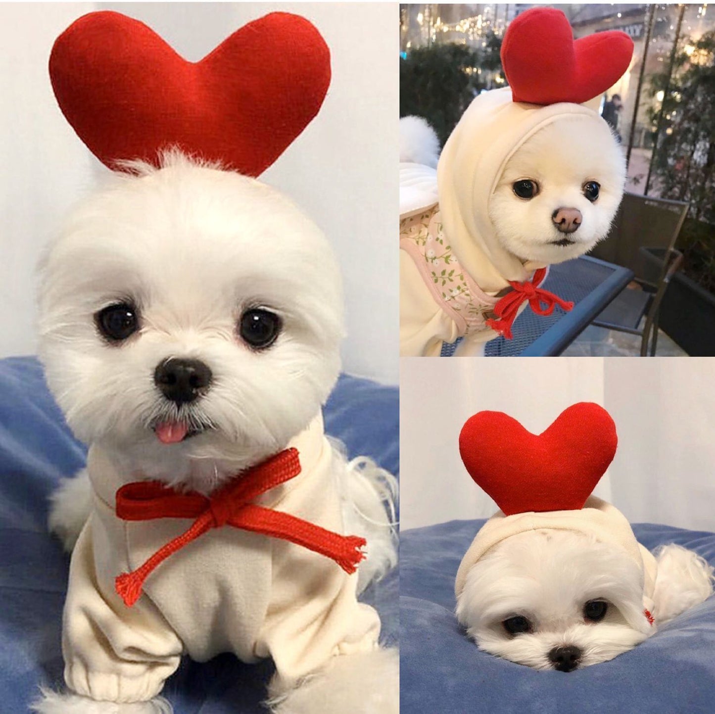 Adorable Fruit Hoodie – Warm Winter Outfit for Small Pets!