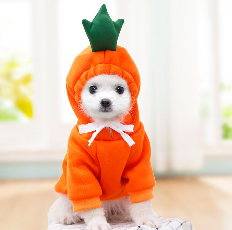 Adorable Fruit Hoodie – Warm Winter Outfit for Small Pets!