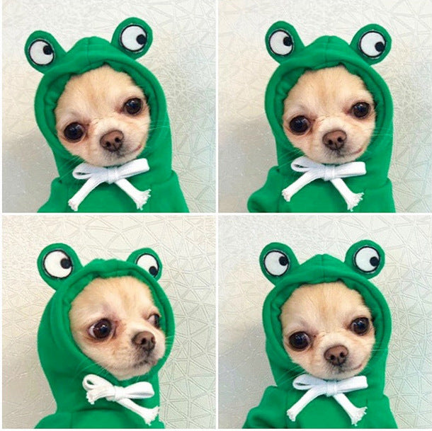 Adorable Fruit Hoodie – Warm Winter Outfit for Small Pets!