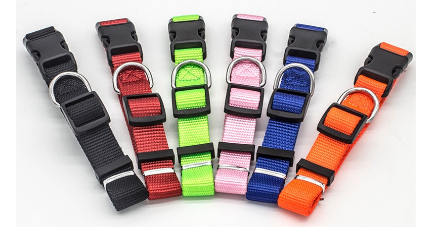 Stylish Durable Pet Collar – Comfort and Safety Combined!