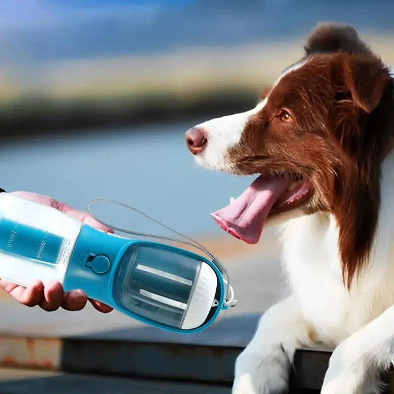 Portable 3-in-1 Dog Water Cup Food Bag Combo