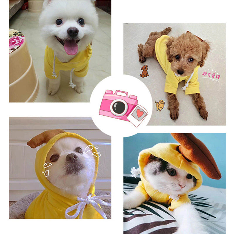 Adorable Fruit Hoodie – Warm Winter Outfit for Small Pets!