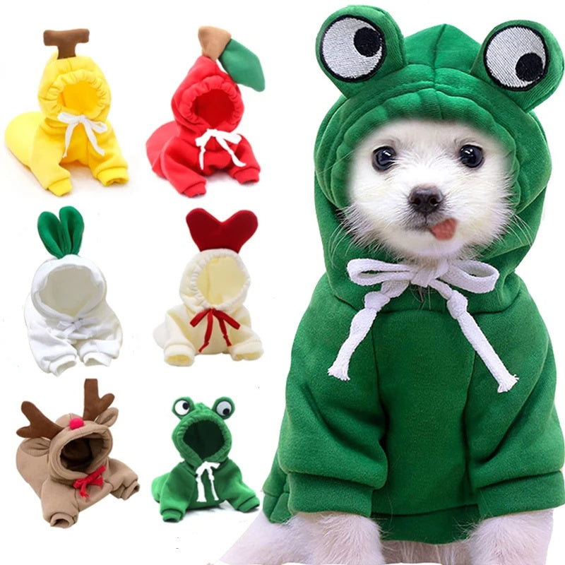 Adorable Fruit Hoodie – Warm Winter Outfit for Small Pets!