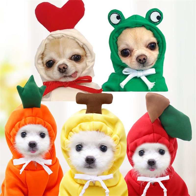Adorable Fruit Hoodie – Warm Winter Outfit for Small Pets!
